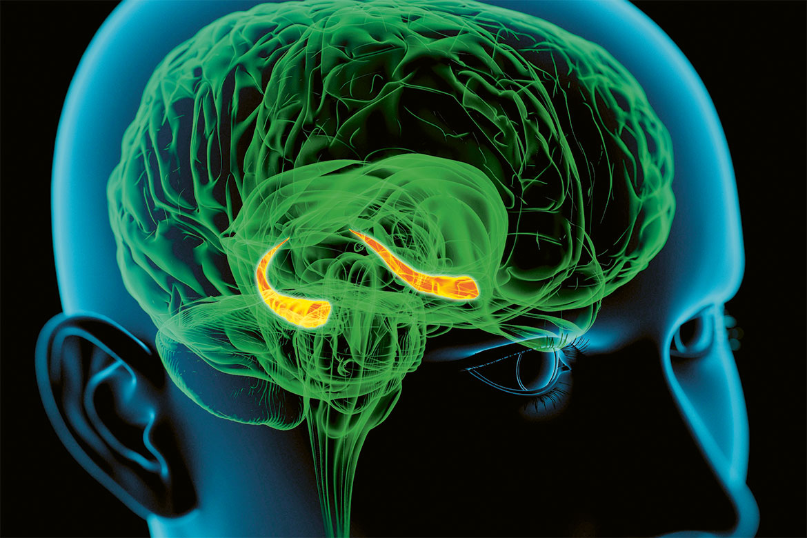 treating-traumatic-memories-horizons